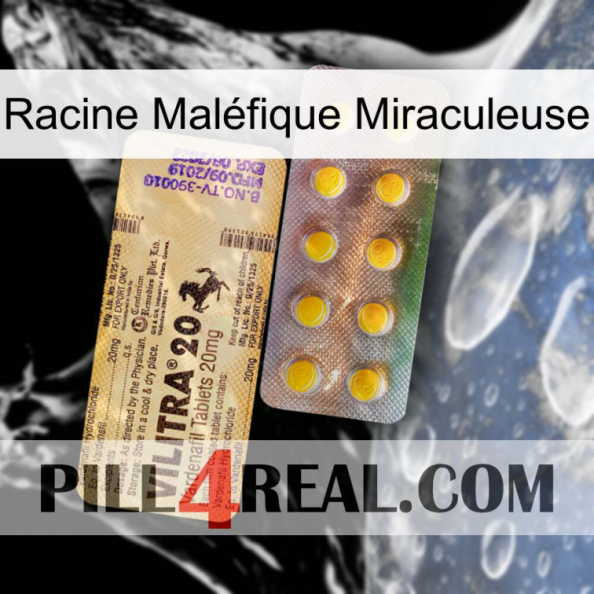 Racine Maléfique Miraculeuse new06.jpg